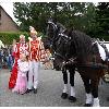 wunsch_2008-18.jpg